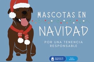Imagen Mascotas en Navidad - Por una tenencia responsable